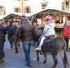 Asini e Bambini nel mercatino del trentino alto adige